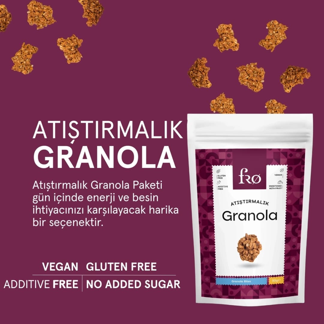 FRO 3'lü Atıştırmalık Granola Vegan Glutensiz Şekersiz Atıştırmalık Sağlıklı Ara Öğün Granola